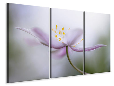 3-piece-canvas-print-nemorosa-ii