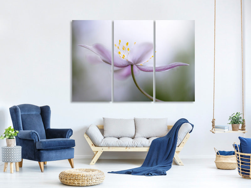 3-piece-canvas-print-nemorosa-ii