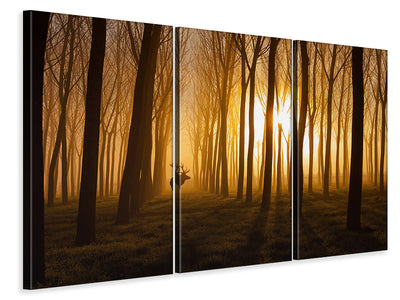 3-piece-canvas-print-once-upon-a-time