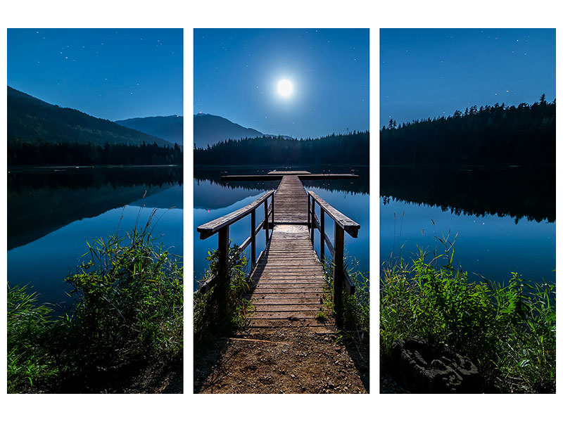 3-piece-canvas-print-one-night-at-full-moon