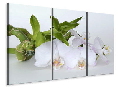 3-piece-canvas-print-orchid-and-bamboo