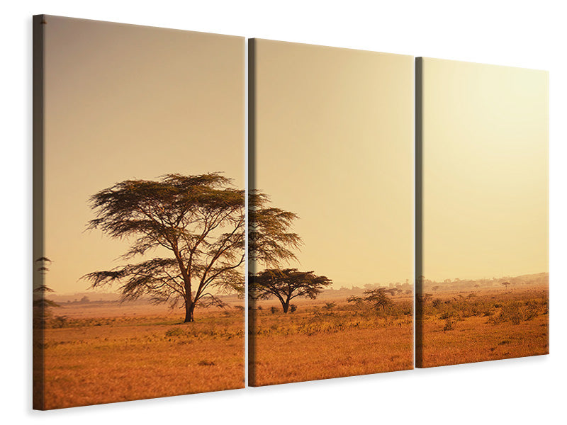 3-piece-canvas-print-pastures-in-kenya