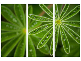 3-piece-canvas-print-pearly-lupine