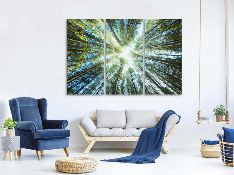 3-piece-canvas-print-pine-forest