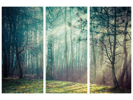 3-piece-canvas-print-pinewood