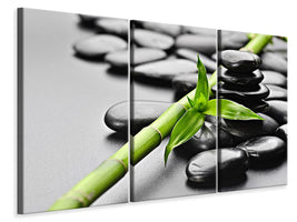 3-piece-canvas-print-polished-stones