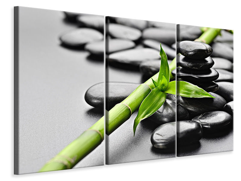 3-piece-canvas-print-polished-stones