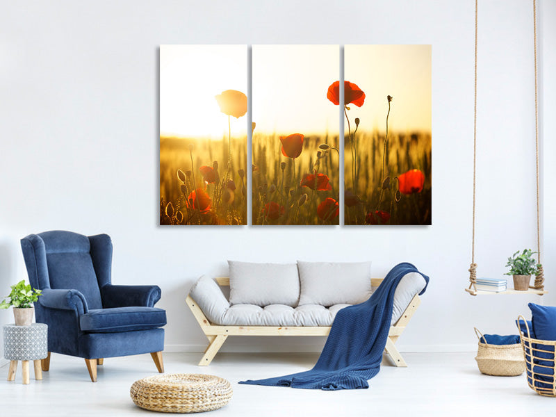 3-piece-canvas-print-poppy-in-the-sunset