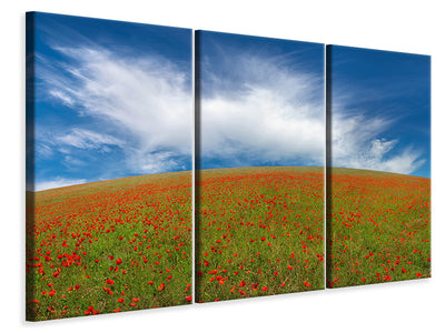 3-piece-canvas-print-red-poppies