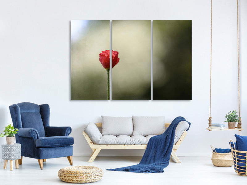 3-piece-canvas-print-red-poppy