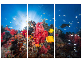 3-piece-canvas-print-reef-life