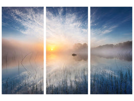 3-piece-canvas-print-reflection