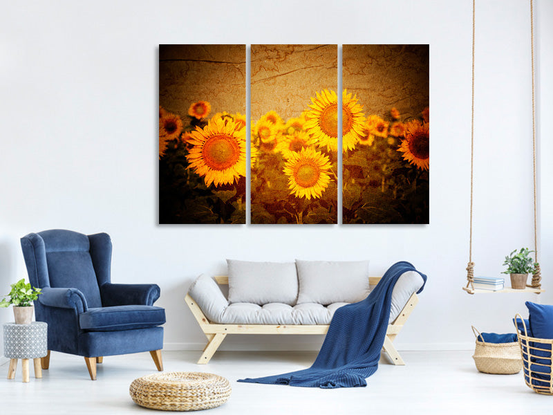 3-piece-canvas-print-retro-sunflower