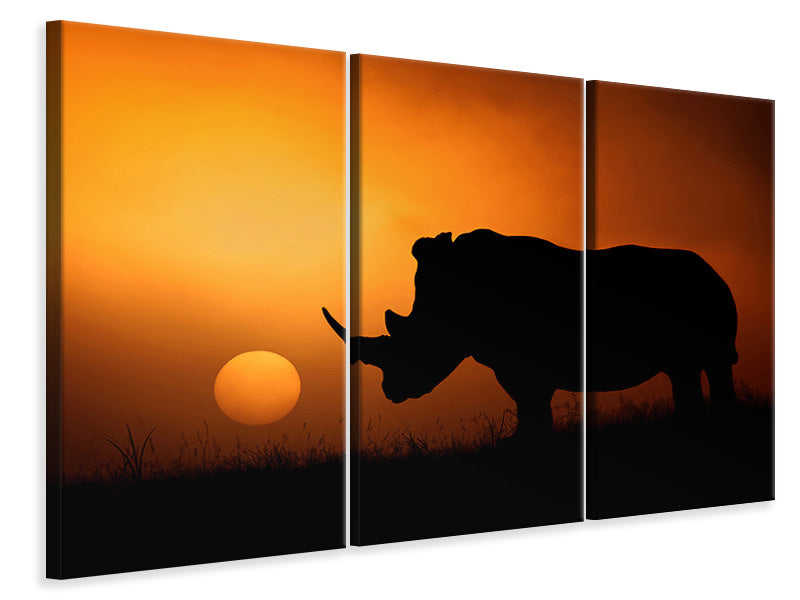 3-piece-canvas-print-rhino-sunrise