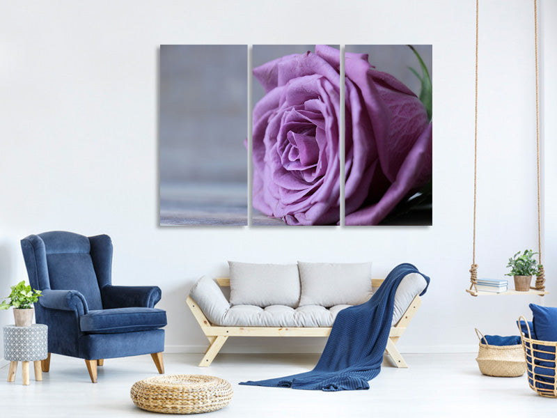 3-piece-canvas-print-rose-in-purple-xxl