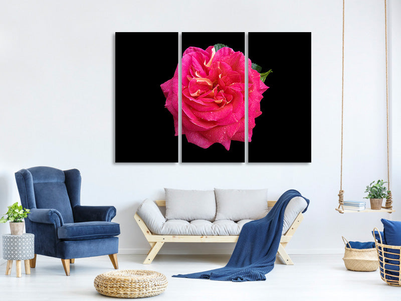 3-piece-canvas-print-rose-in-red-xxl