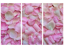 3-piece-canvas-print-rose-petals-in-pink-ii