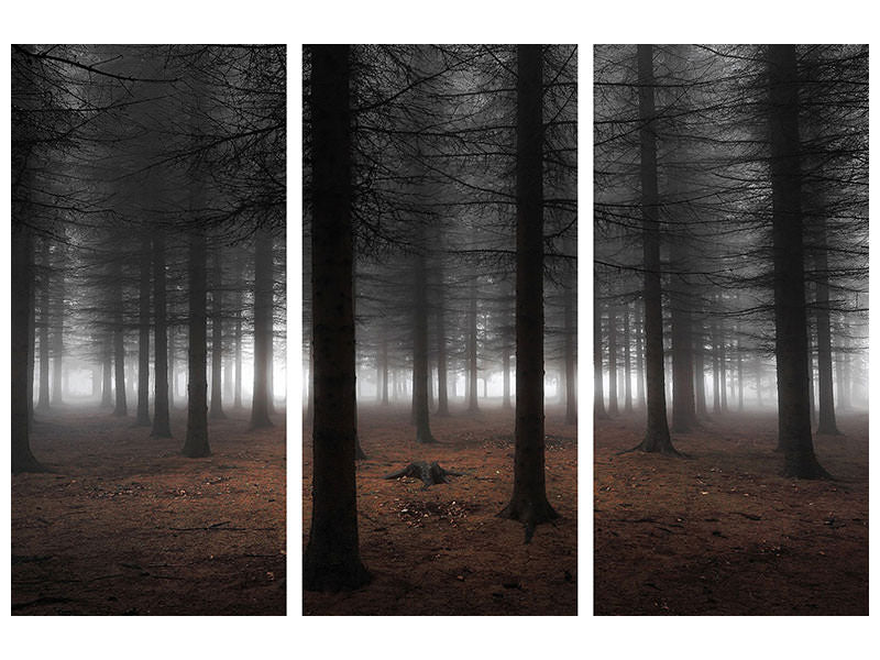 3-piece-canvas-print-silence-ii