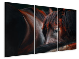 3-piece-canvas-print-sleep-huddle