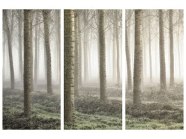 3-piece-canvas-print-small-woodland