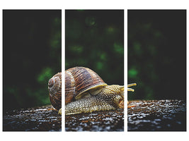 3-piece-canvas-print-snail-xxl