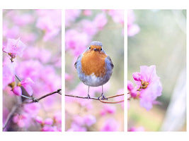 3-piece-canvas-print-spring-bird