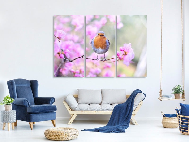 3-piece-canvas-print-spring-bird