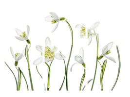 3-piece-canvas-print-spring-snowdrops