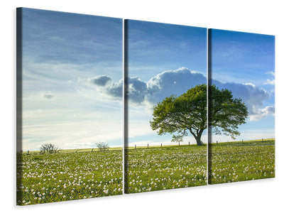 3-piece-canvas-print-spring-tree