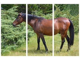 3-piece-canvas-print-strong-horse