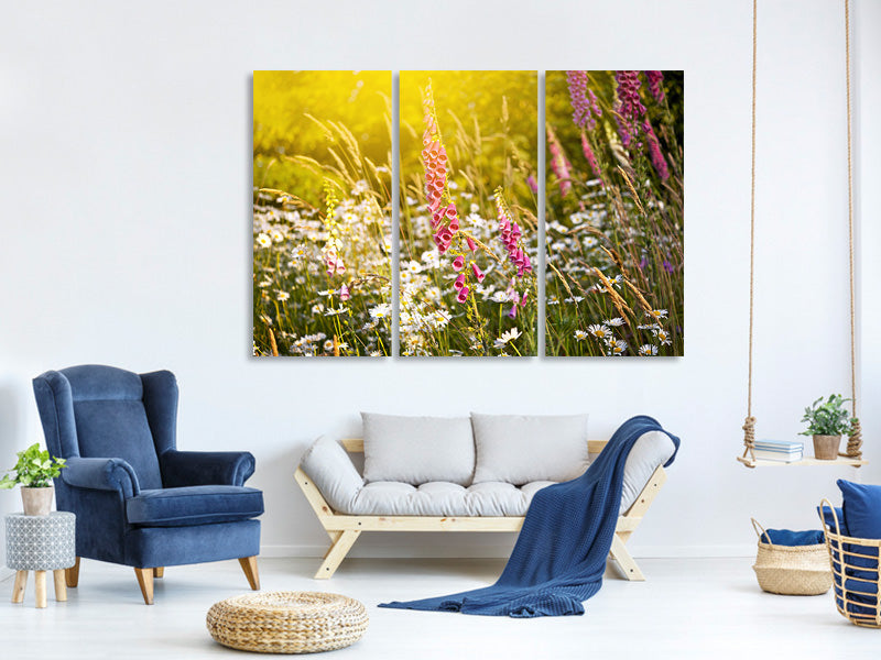 3-piece-canvas-print-summer-flower-meadow