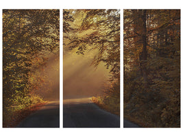 3-piece-canvas-print-sunbeams-in-the-forest