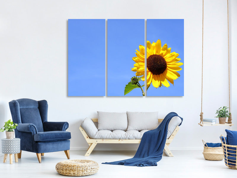 3-piece-canvas-print-sunflower-with-blue-sky