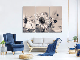 3-piece-canvas-print-sunflowers-sw