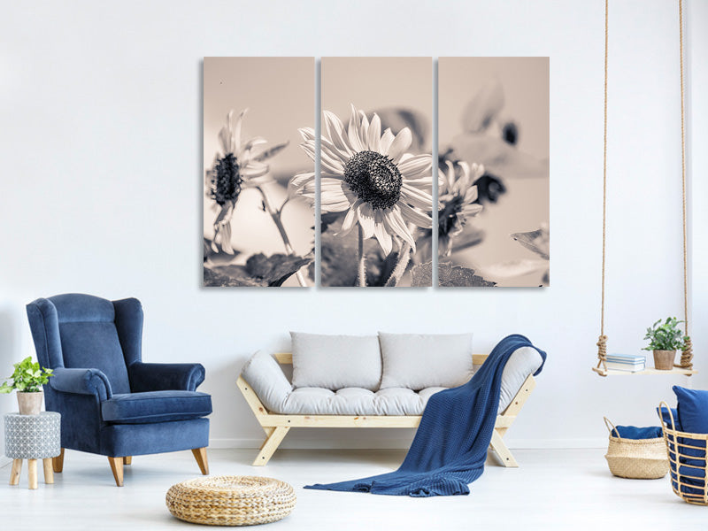 3-piece-canvas-print-sunflowers-sw