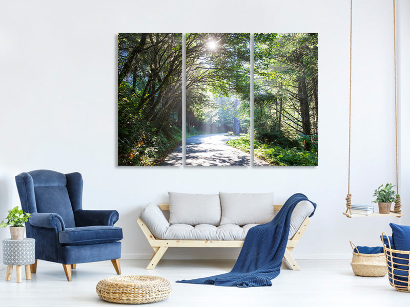 3-piece-canvas-print-sunny-forest-path