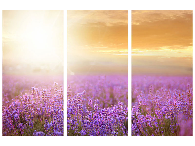 3-piece-canvas-print-sunset-in-lavender-field