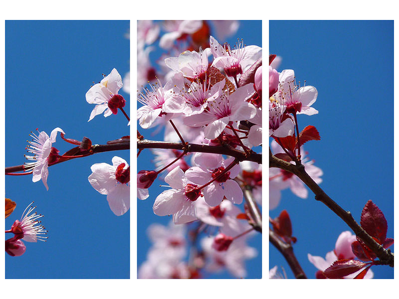 3-piece-canvas-print-the-almond-blossom