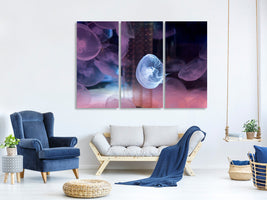 3-piece-canvas-print-the-beauty-of-jellyfish