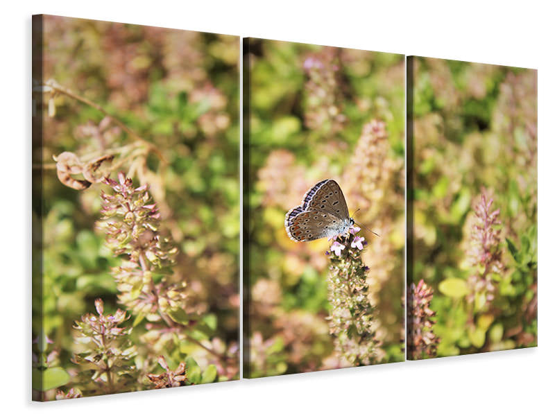 3-piece-canvas-print-the-blue