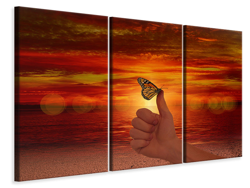 3-piece-canvas-print-the-butterfly-in-the-evening-light