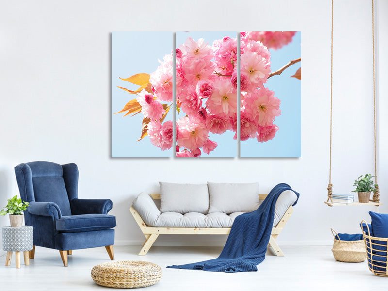 3-piece-canvas-print-the-cherry-blossoms