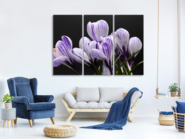 3-piece-canvas-print-the-crocus