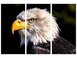 3-piece-canvas-print-the-eagle-head