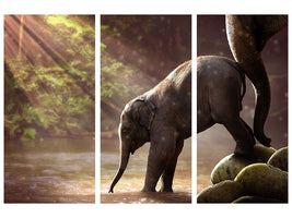 3-piece-canvas-print-the-elephant-baby