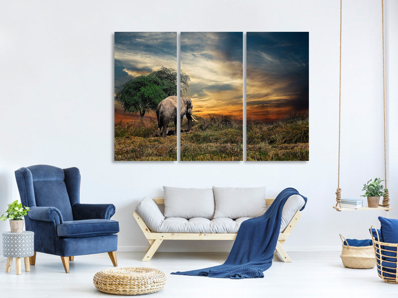 3-piece-canvas-print-the-elephant-in-the-sunset