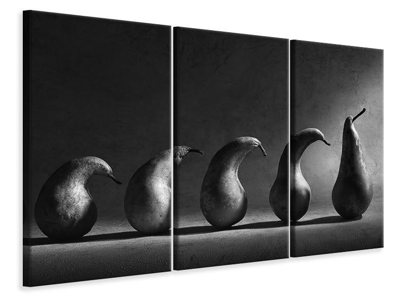 3-piece-canvas-print-the-evolution