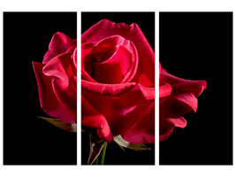 3-piece-canvas-print-the-flower-of-love