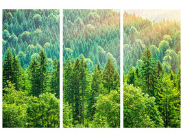 3-piece-canvas-print-the-forest-hill