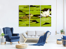 3-piece-canvas-print-the-frog-and-the-water-lily